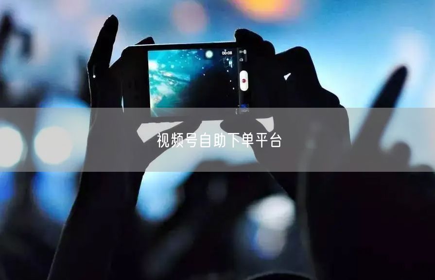 视频号自助下单平台